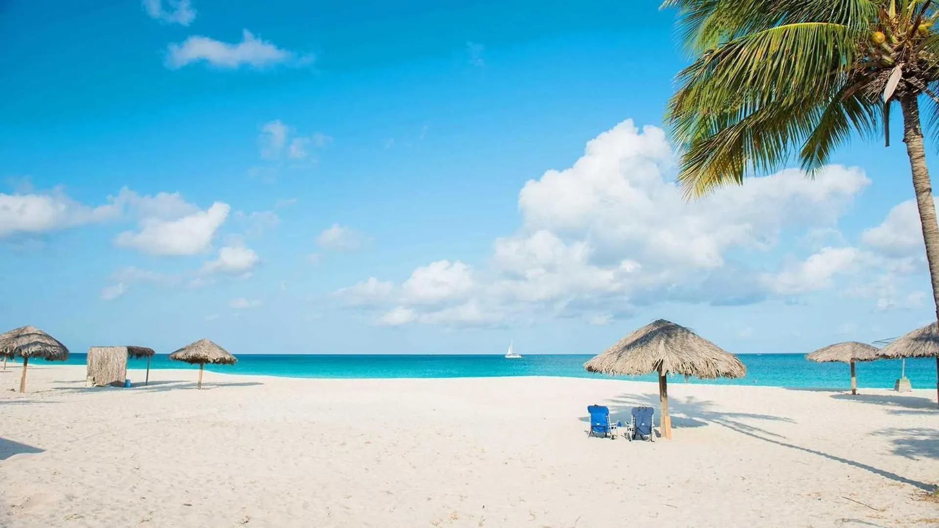 Beachfront - Ambiente Elegante 2Br Condo - Bc256 パームビーチ アルバ
